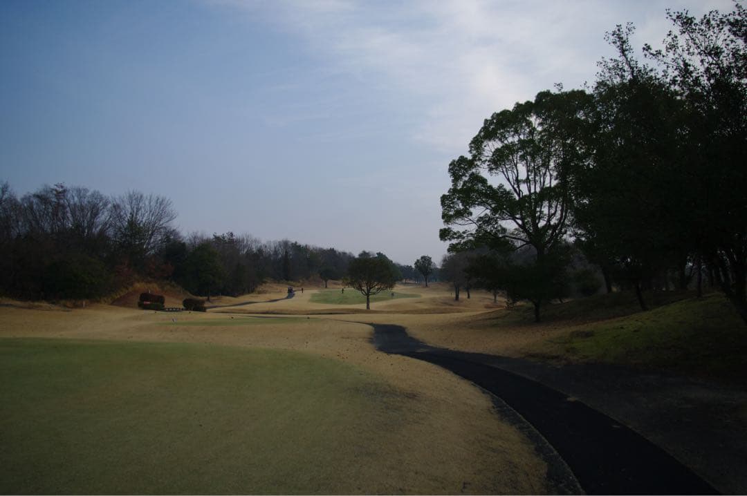 PENTAX K20D レンズ付き