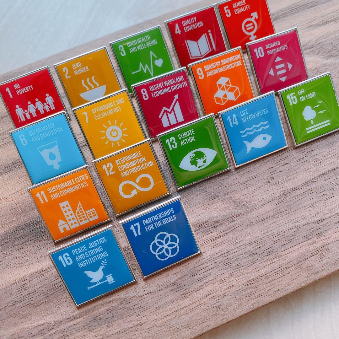 【特価セール】セット販売 SDGs ピンバッジ 【国連本部入手品】