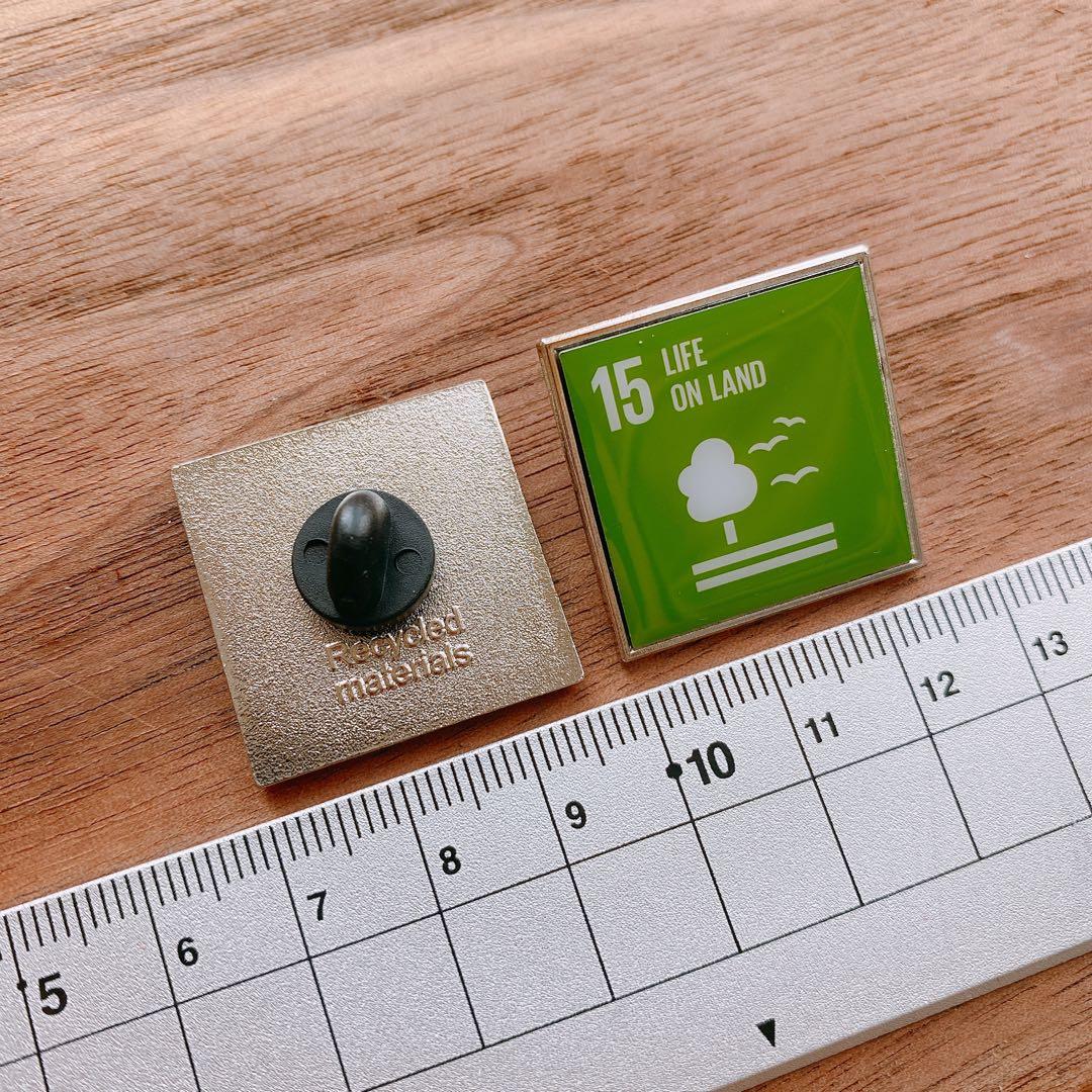 【特価セール】セット販売 SDGs ピンバッジ 【国連本部入手品】