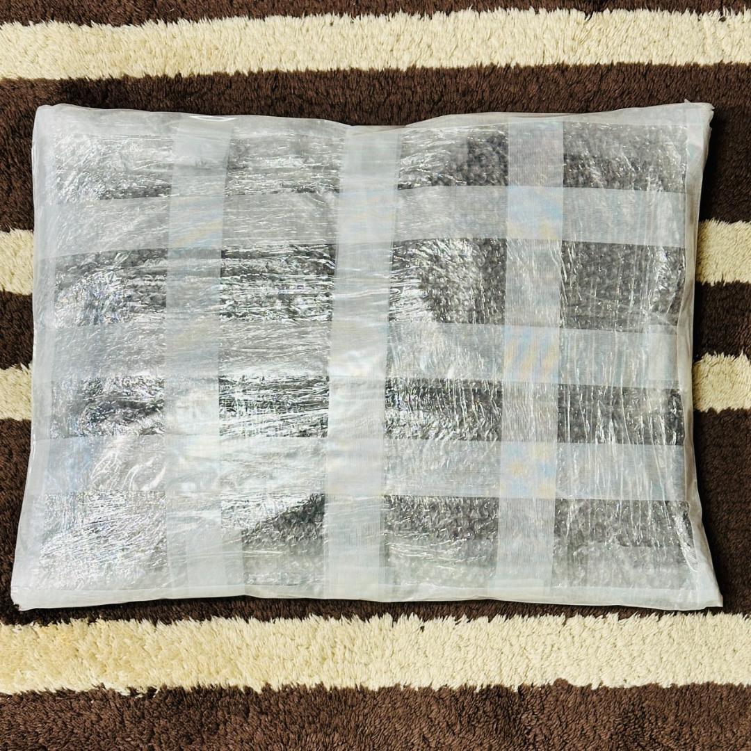 Iseebiz アイシービズ トレース台 A2 +専用台座+キャリーバッグ