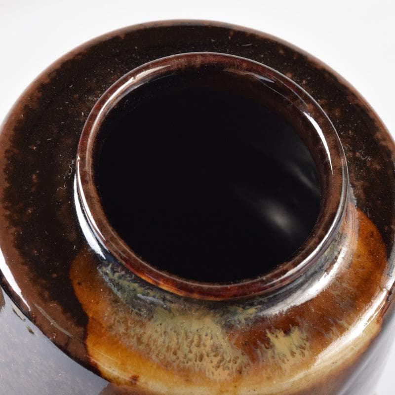 茶道具　膳所焼　淡海ぜぜ　陽炎園造　肩衝茶入　仕覆付　共箱　C　7404