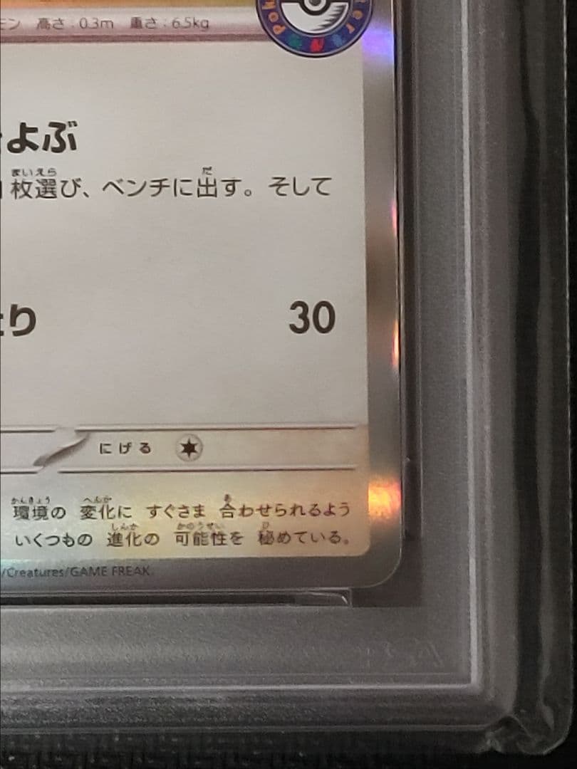 【鑑定品】【PSA10】【世界に391枚】イーブイ　032/sv-p　カジュアル