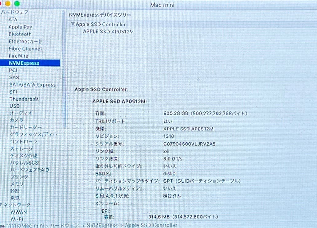 Mac mini メモリ32GB【cs6 / Office / Windows】