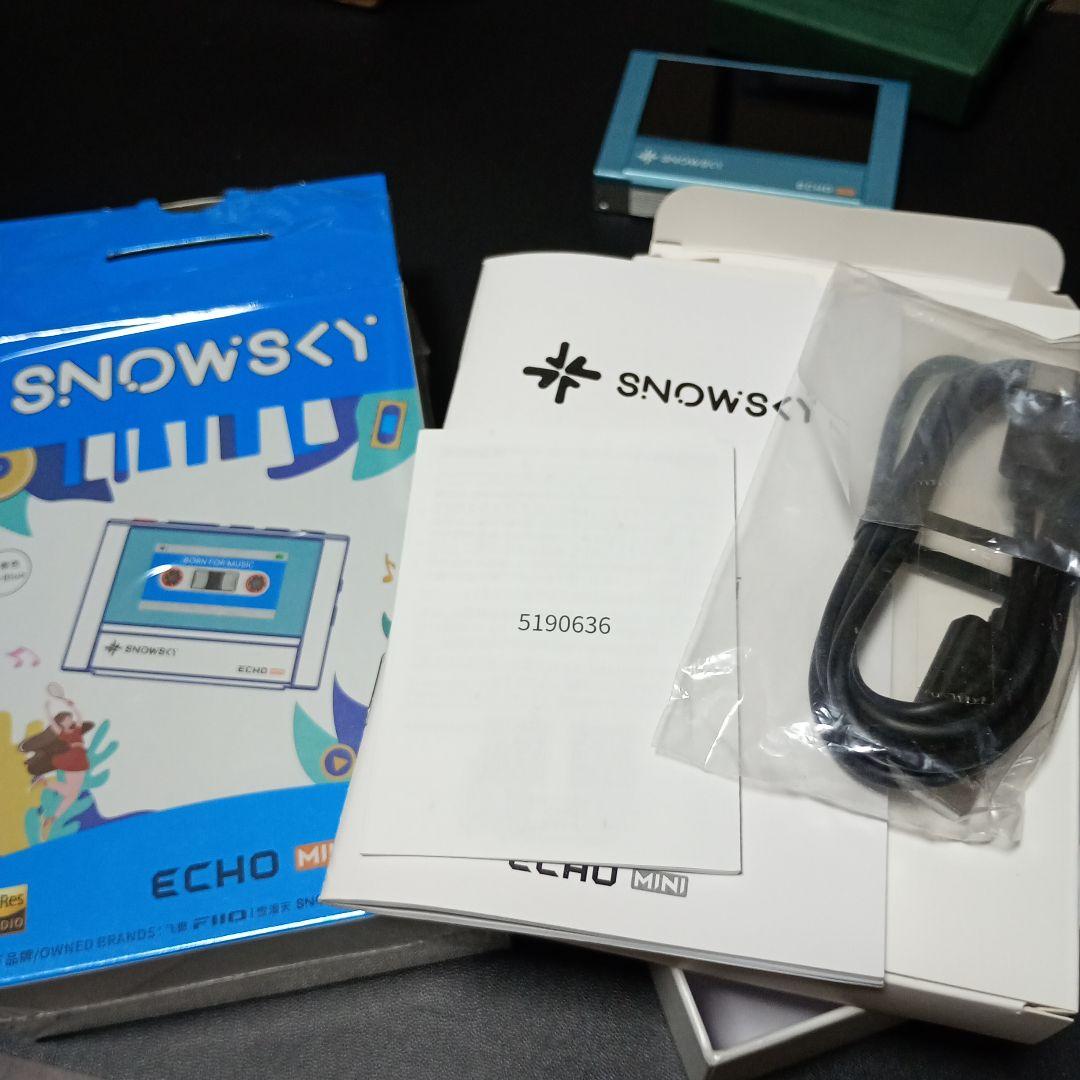 【Fiio】★美品★SKY ECHO MINI／保護ケース付属