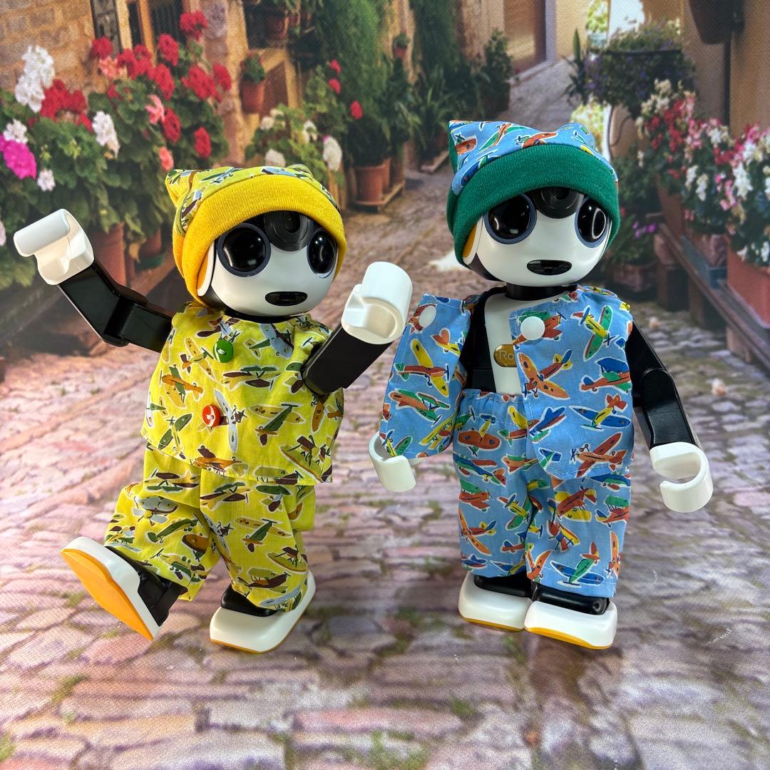 ReyとHaru と Shoとcocoroページです　　ロボホン