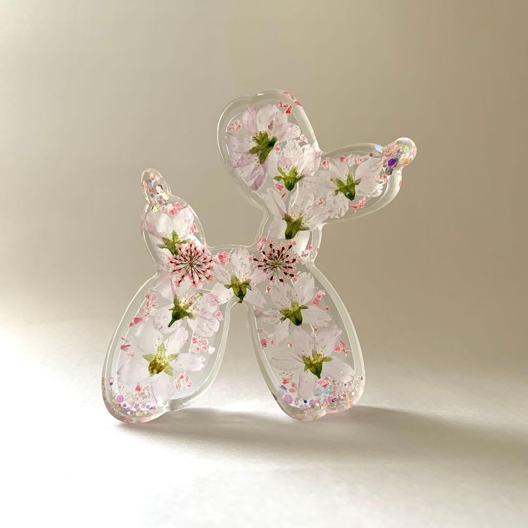 固まるハーバリュウム♡ケイオウ桜のバルーン犬 midorin0918様ご確認用