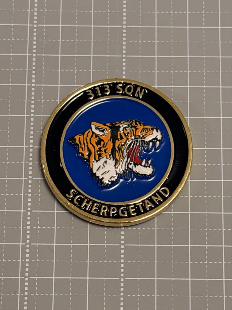 オランダ 空軍 F-35 第313飛行隊 チャレンジ