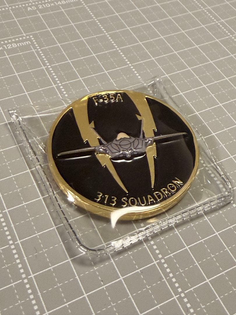 オランダ 空軍 F-35 第313飛行隊 チャレンジ