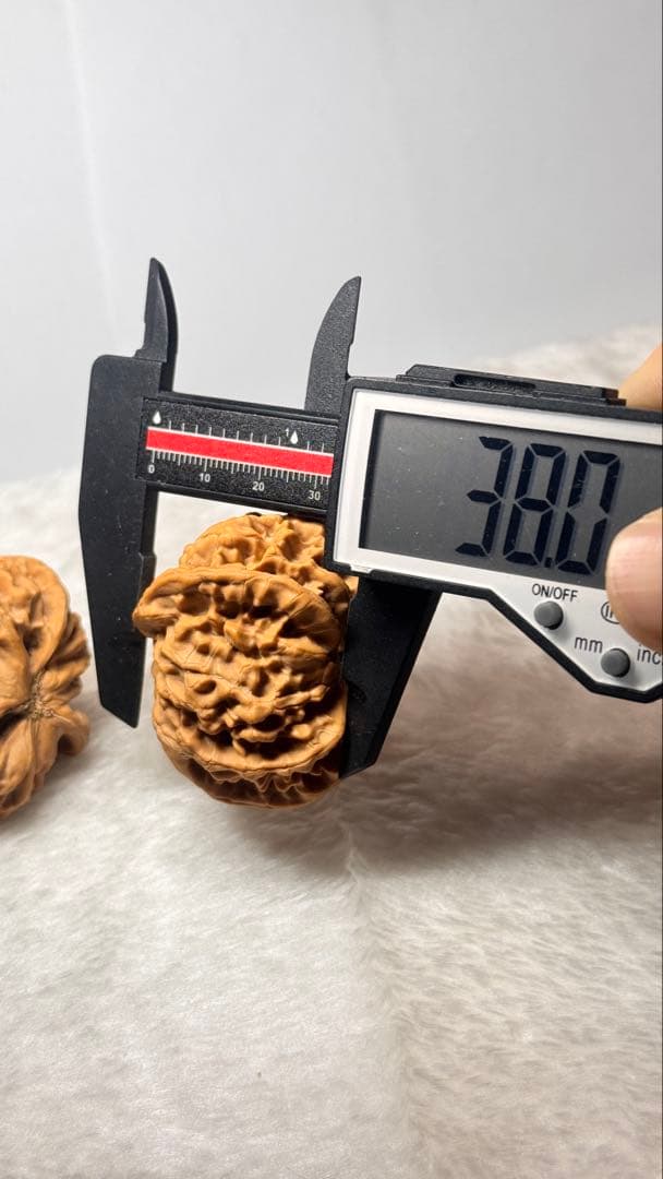 46帝王半壁三棱