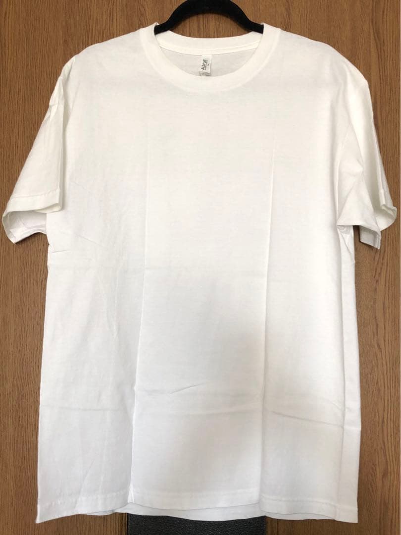 DOWN NORTH CAMP 相撲 Tシャツ Lサイズ レア