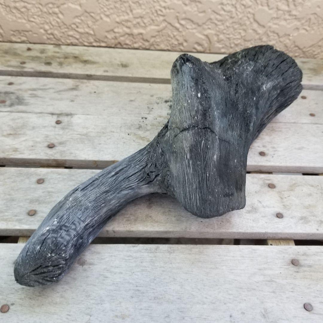 紀州備長炭オブジェ　一点もの　希少