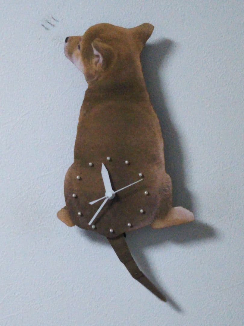 柴犬　しっぽ時計