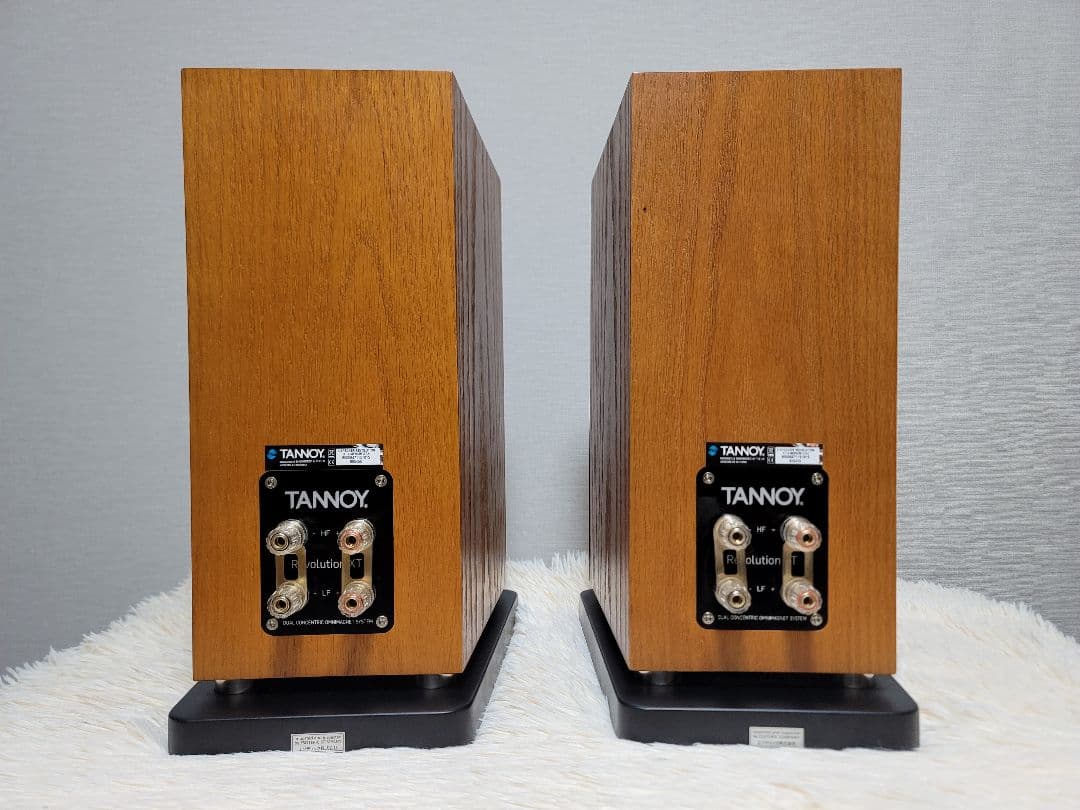 TANNOY Revolution XT6 スピーカーペア タンノイ (美品)