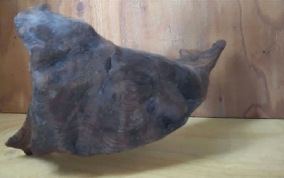 置物　オブジェ　木目入り