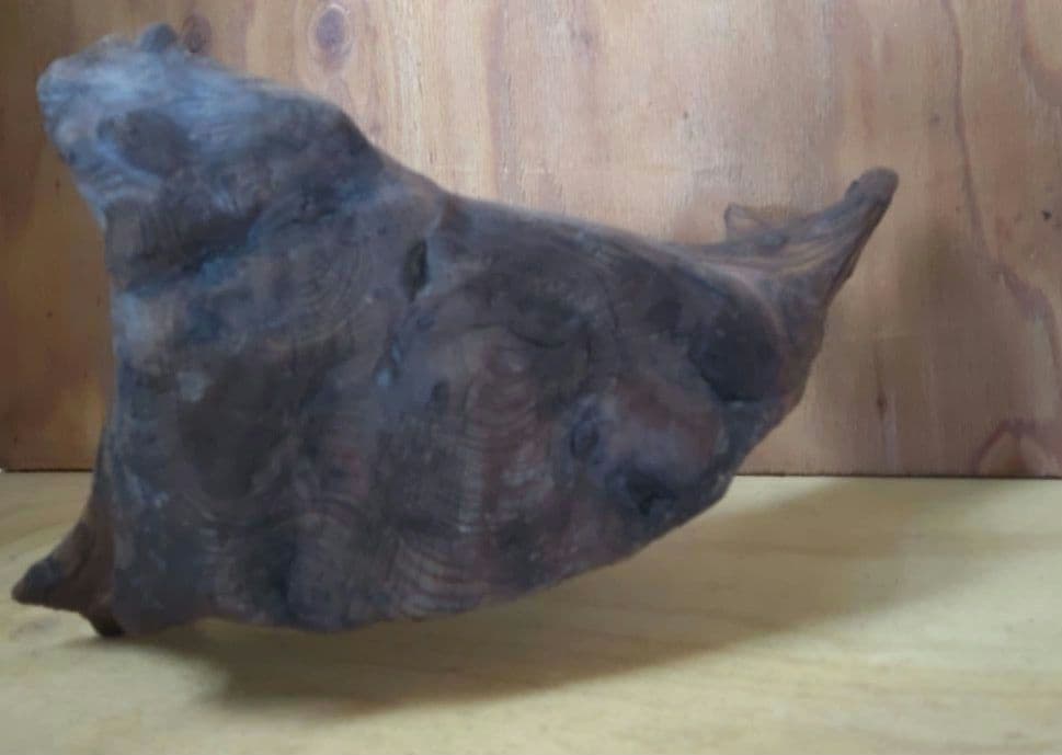 置物　オブジェ　木目入り