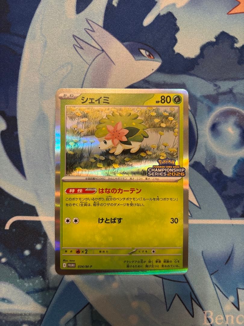 【即日発送】ロケット団のミュウツーex プロモ CL シェイミ&基本鋼エネルギー