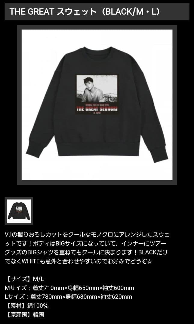 【美品】ビッグバンBIGBANG V.I スウェットM 2018年ライブグッズ