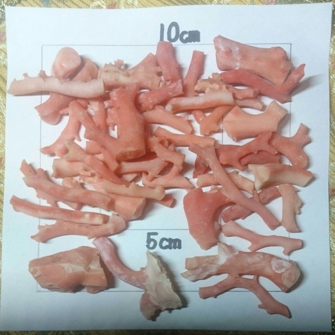 値下げ↓↓＊天然珊瑚…素材を生かしたアクセサリーに①25000円→7000円❕❕