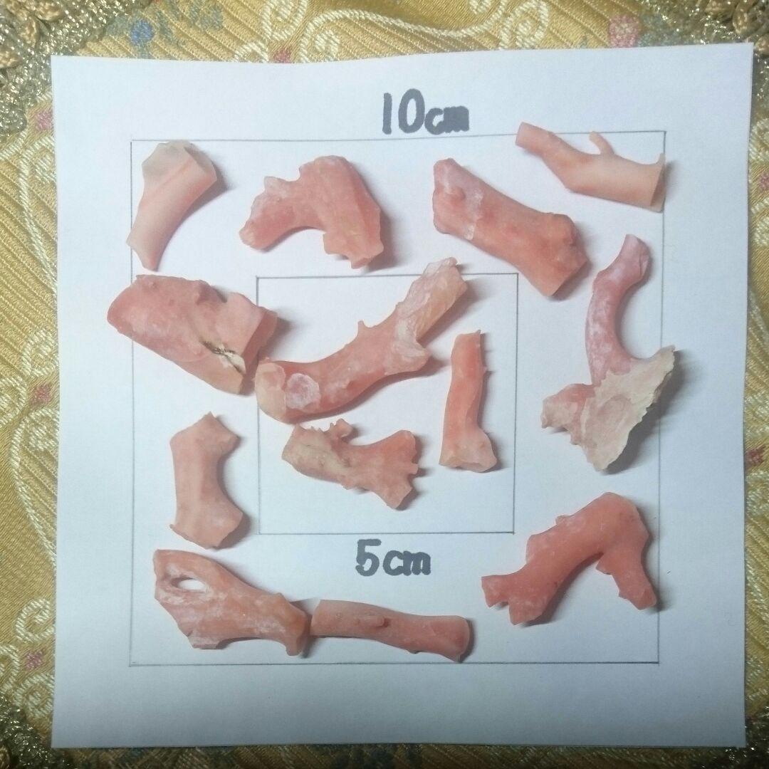 値下げ↓↓＊天然珊瑚…素材を生かしたアクセサリーに①25000円→7000円❕❕