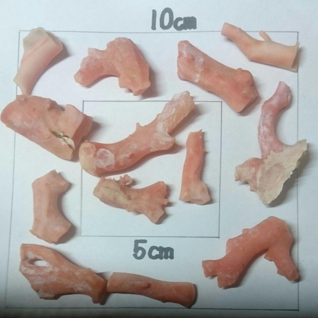 値下げ↓↓＊天然珊瑚…素材を生かしたアクセサリーに①25000円→7000円❕❕