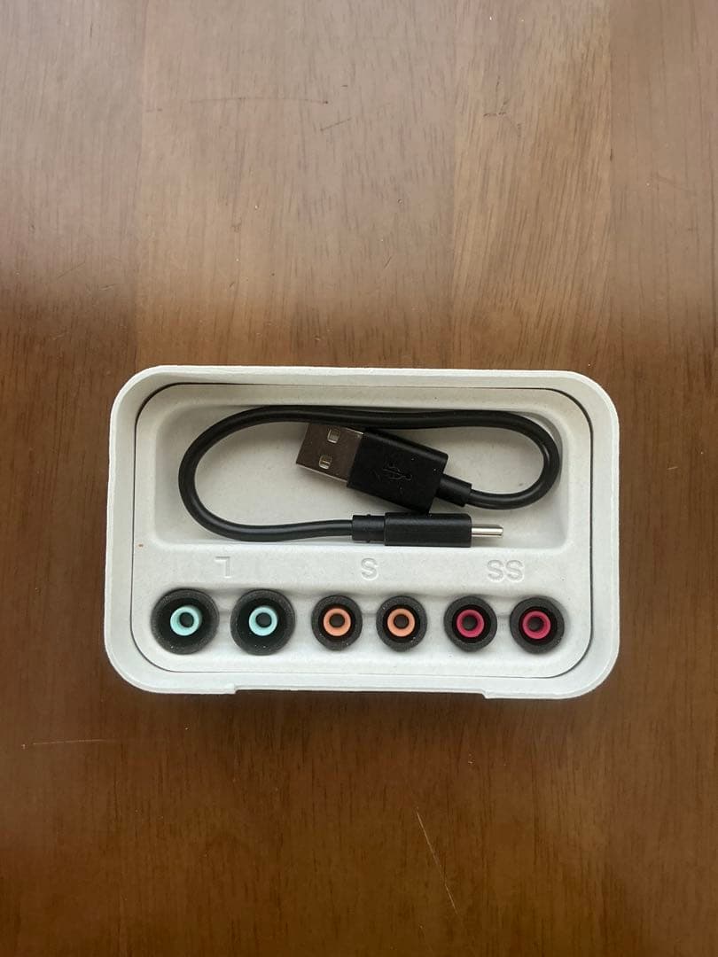 Sony WF-1000XM5 ワイヤレスイヤホン ブラック 充電ケース付き