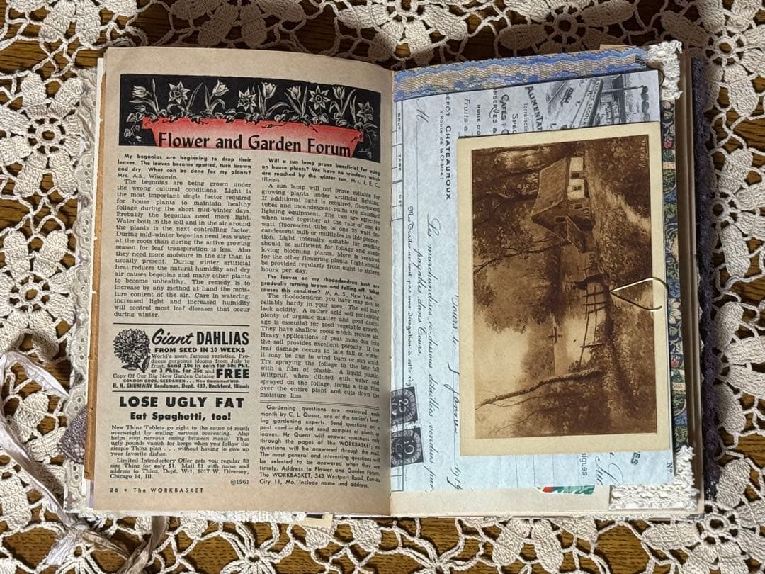 ジャンクジャーナル　雑記帳　⭐︎13⭐︎