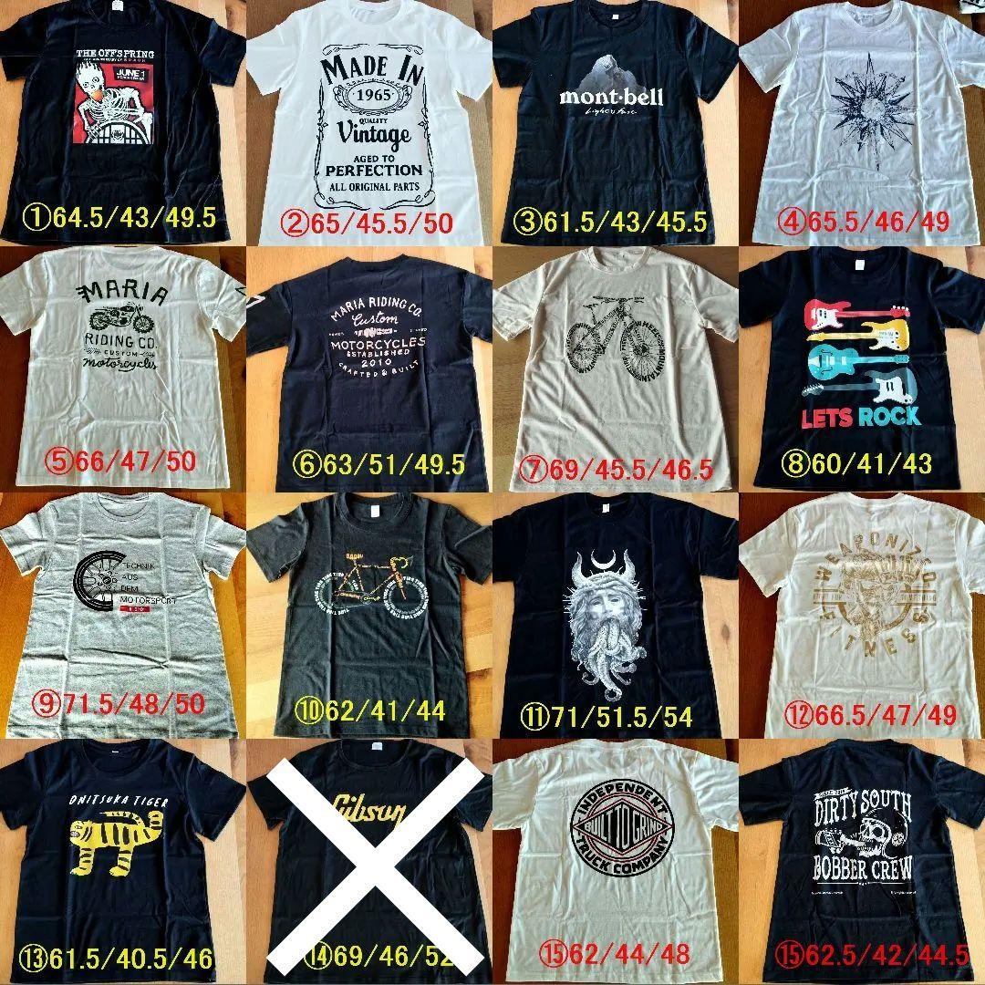 【新品】BACCHUS Global SeriesTACTICS24-STD