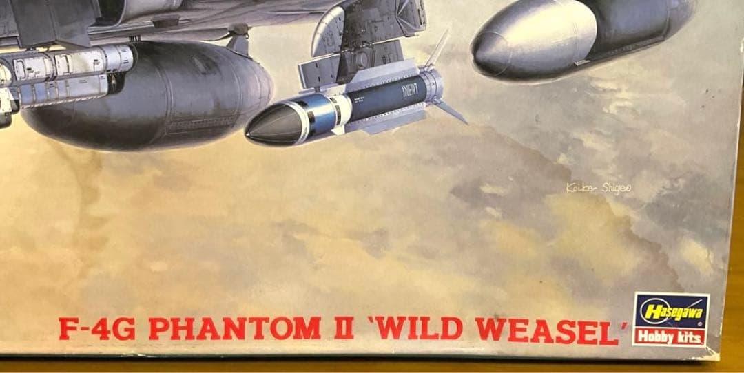 ハセガワ　 F-4G ファントムⅡ　ワイルドウィーゼル　1/48　PT9