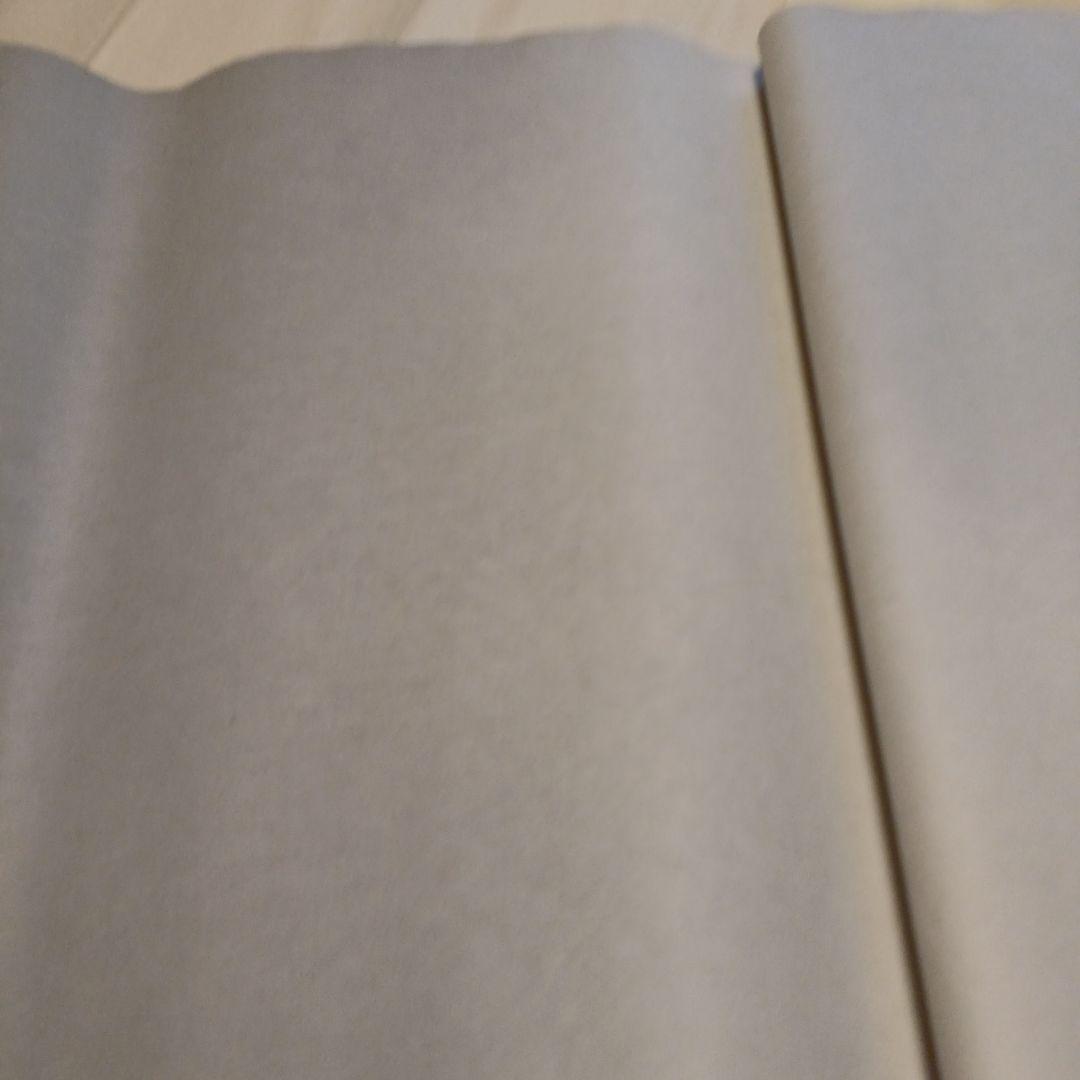 書道画仙紙　新宇陀23枚　白加工紙45枚
