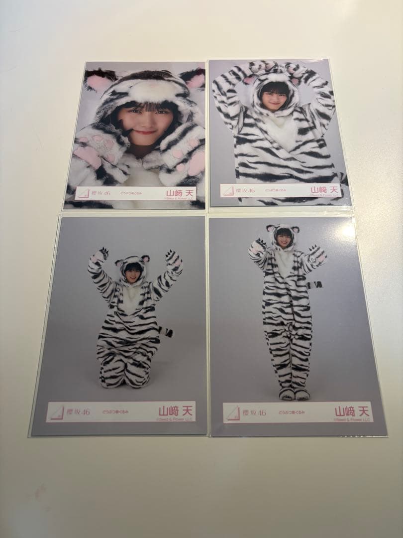 山﨑天 生写真 コンプ