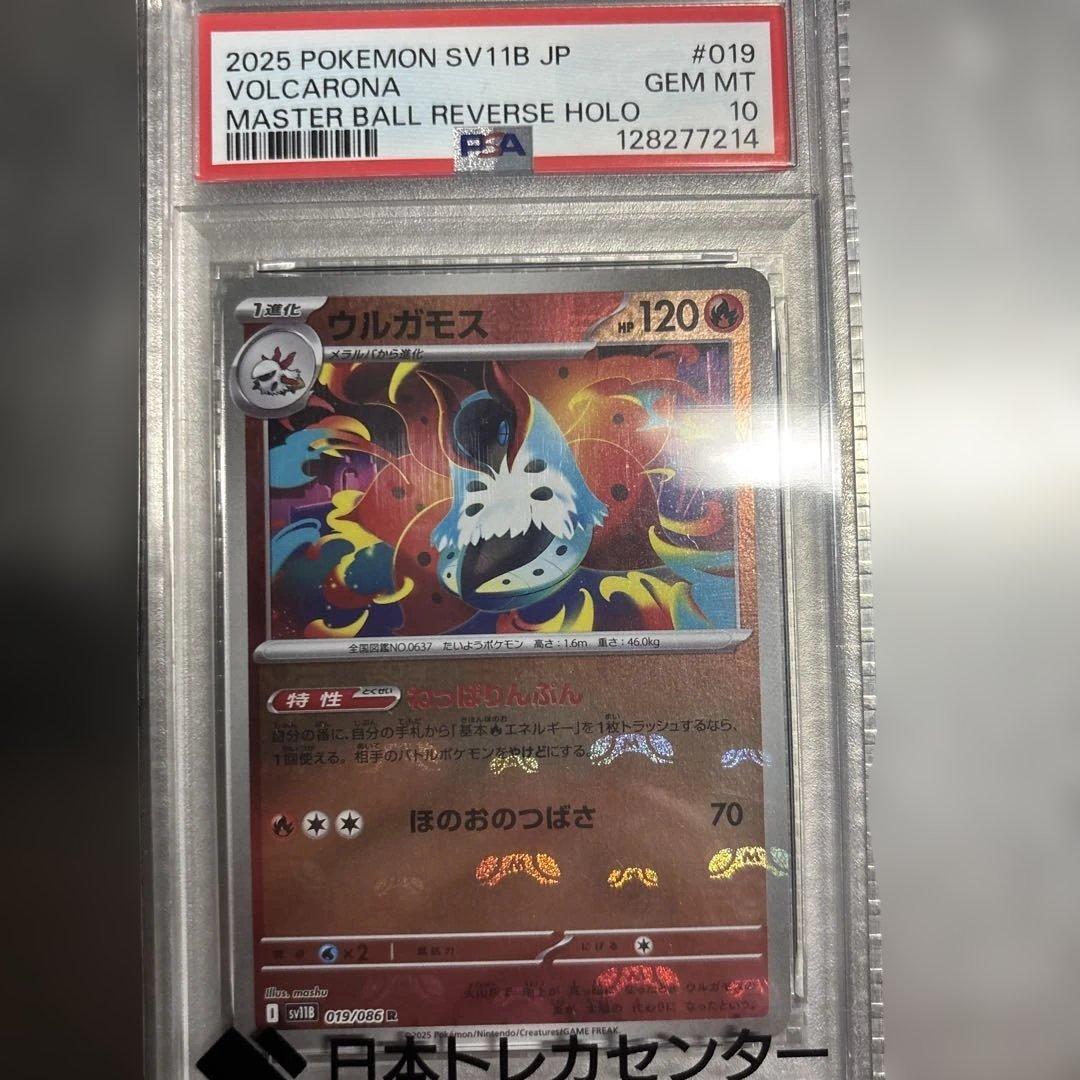 PSA10 マスター ボールミラー　まとめ売り