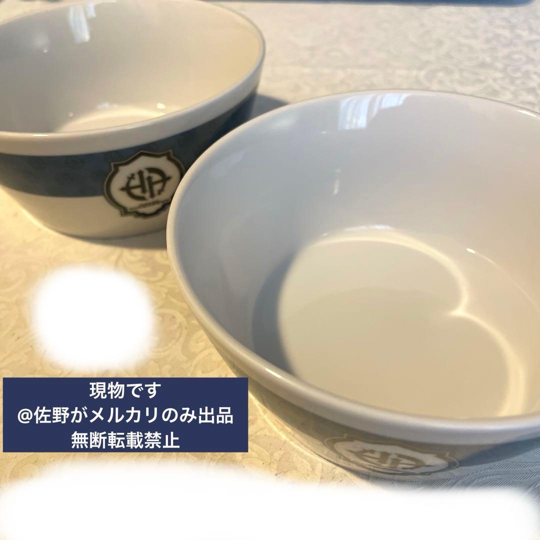 ディズニーランド タワーオブテラー ボウル 2点セット お皿 食器 アンティーク