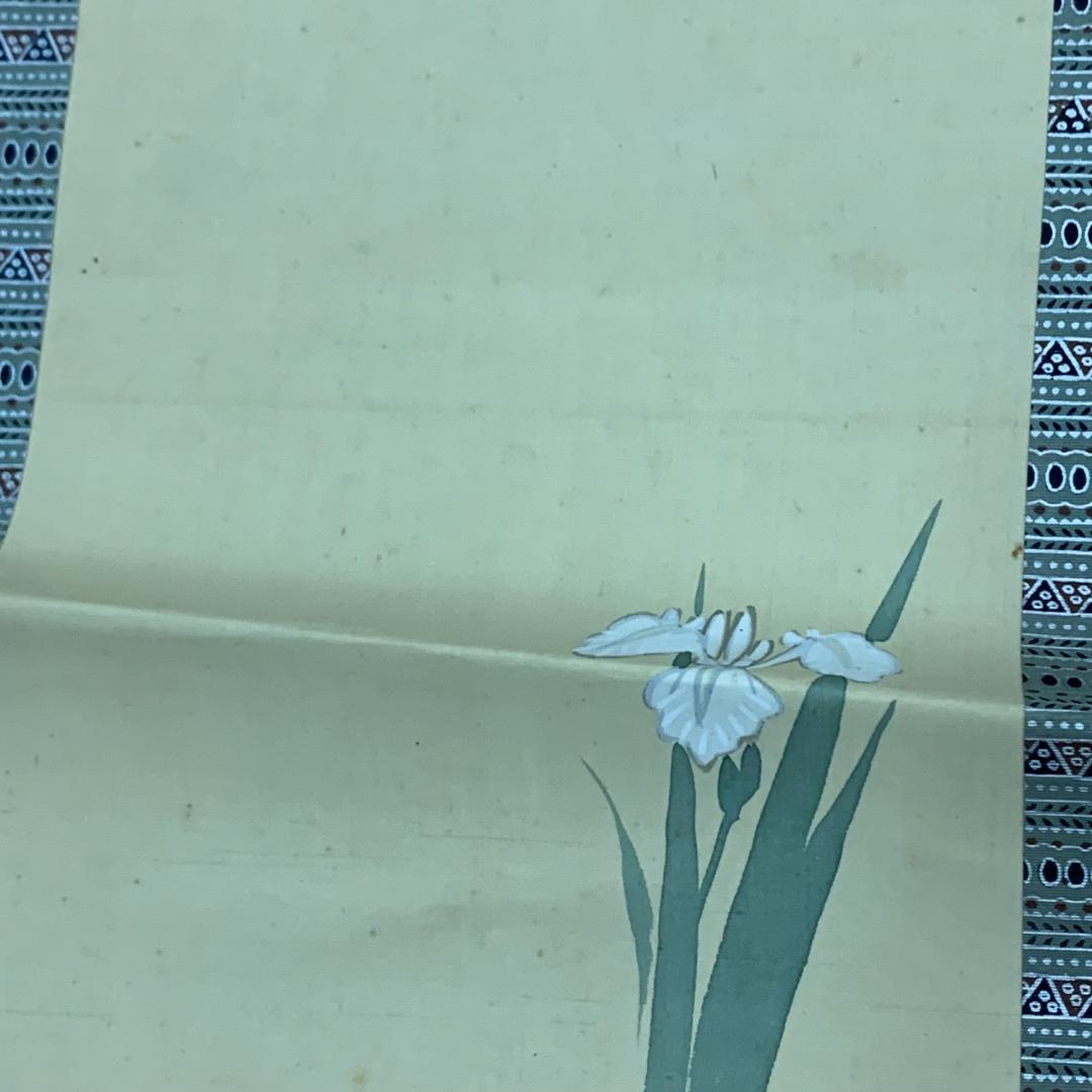 掛軸 兜と菖蒲 紫園 落款あり 端午の節句 お祝い 季節掛け こどもの日 大将兜