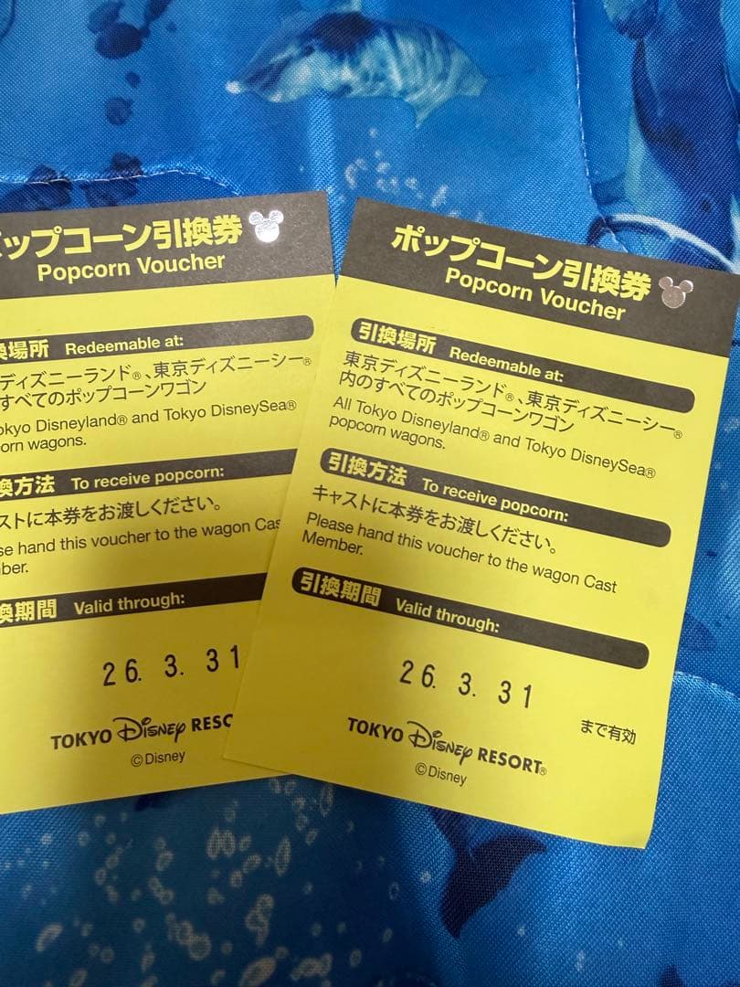 ディズニー　ミニー　パルパルーザ　ミニーのファンダーランド　ポップコーンバケット