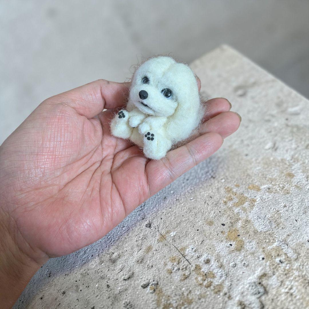 Catherine✩⋆*॰¨̮⋆。˚出品 豆猫PECO-LIN