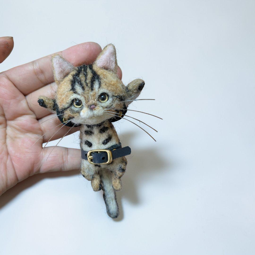 Catherine✩⋆*॰¨̮⋆。˚出品 豆猫PECO-LIN