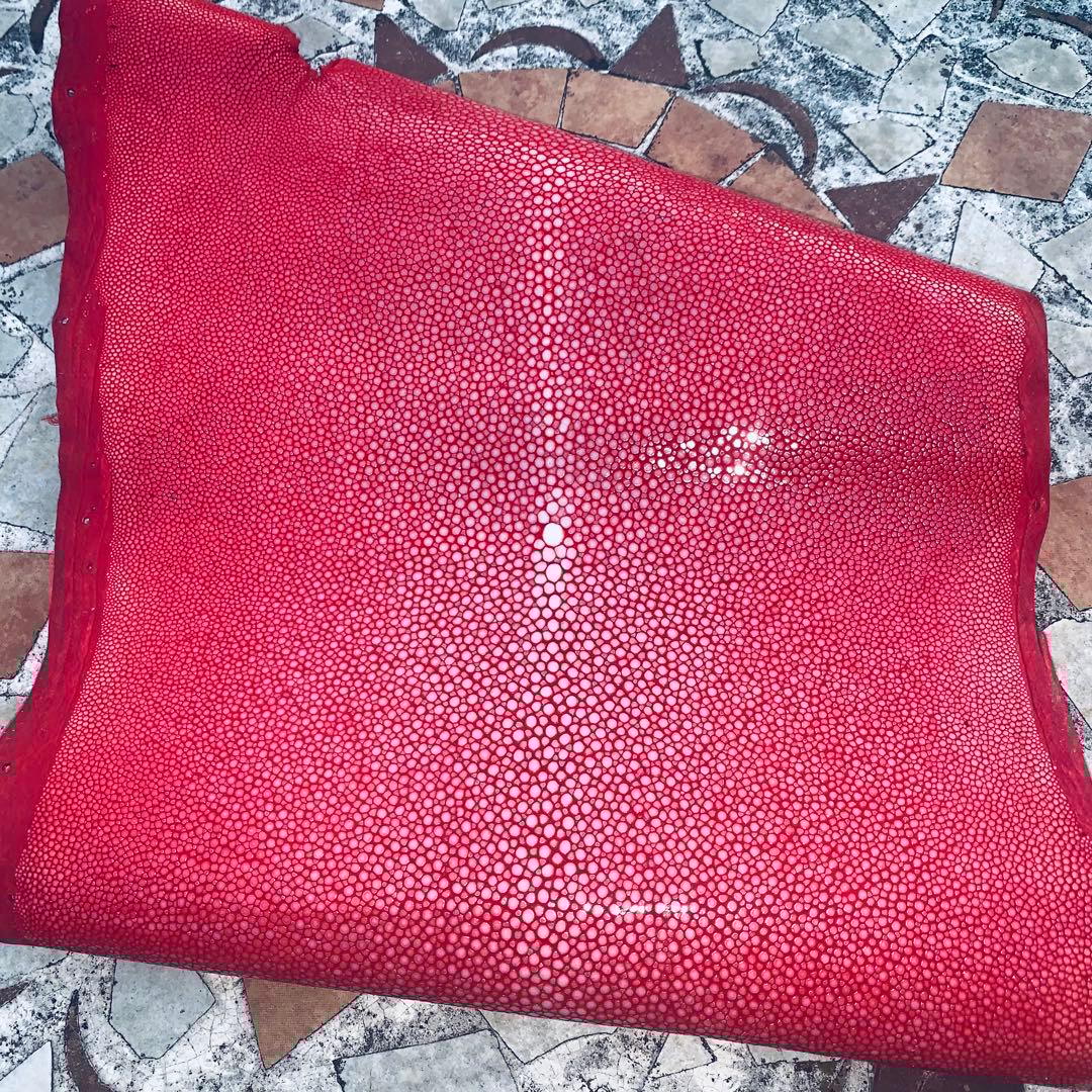 20) S エイ革 鮫革 鮫皮 stingray ガルーシャ スティングレイ