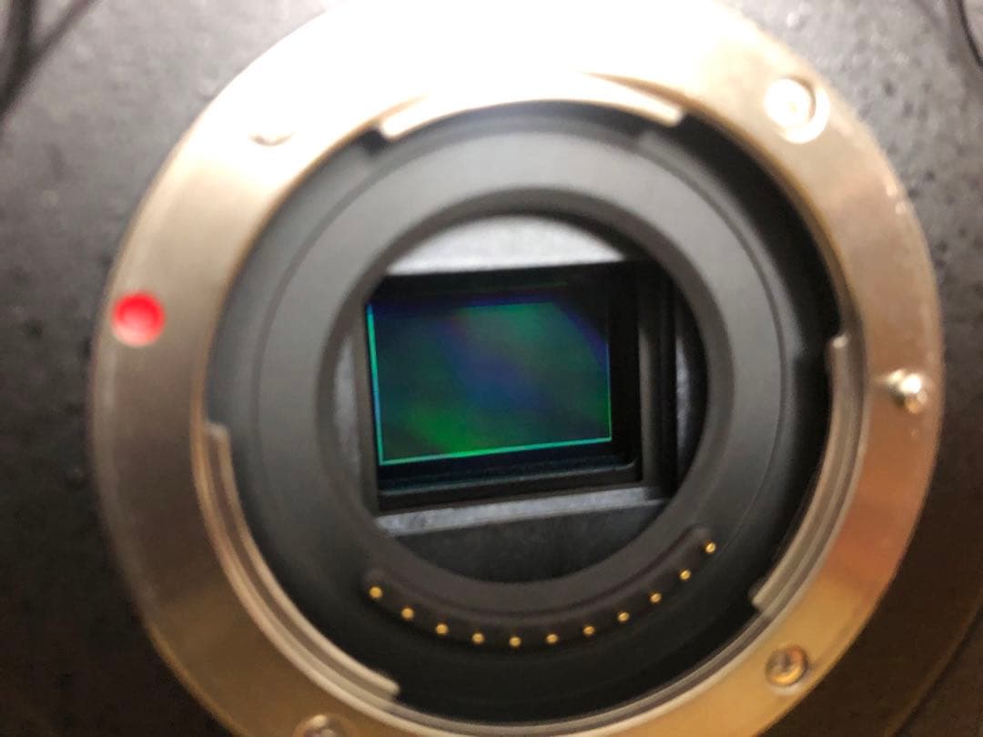 ＜美品＞Panasonic LUMIX DC-GH5S ボディ