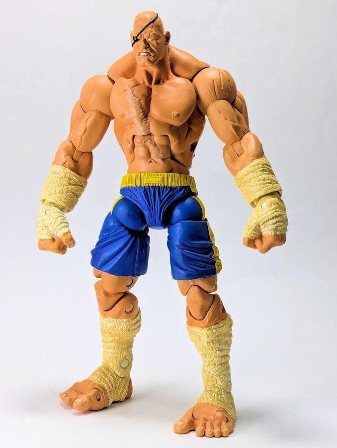 ソタ ストリートファイター アクションフィギュア サガット