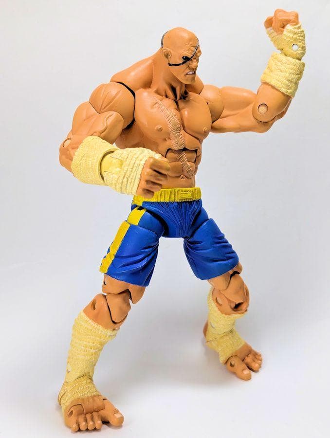 ソタ ストリートファイター アクションフィギュア サガット