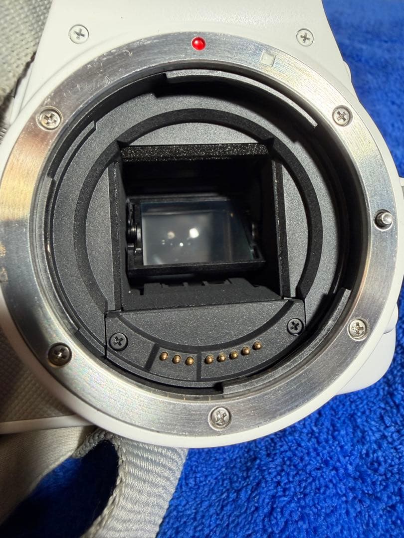 【超美品】【おまけ付】キャノン Canon EOS Kiss X7 ホワイト