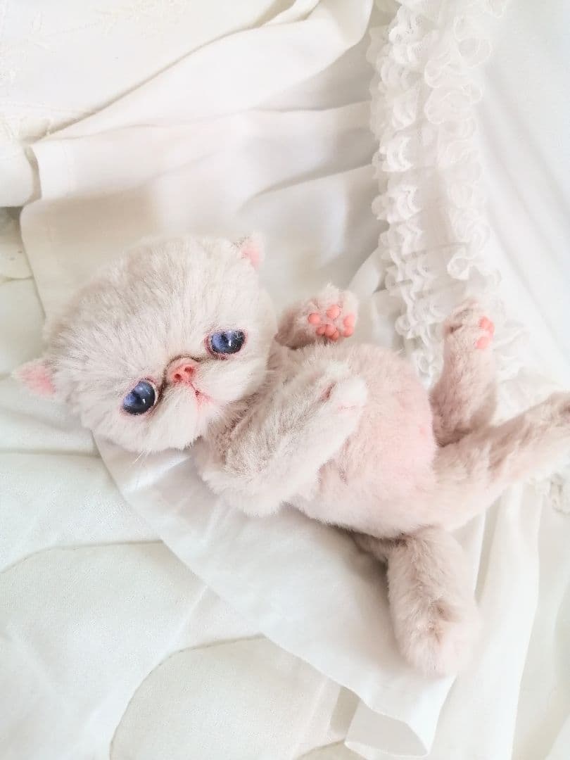 くろねこ様❤️オーダー❤️お腹ぽっこり♡エキゾチック子猫ちゃん♡アートドール♡