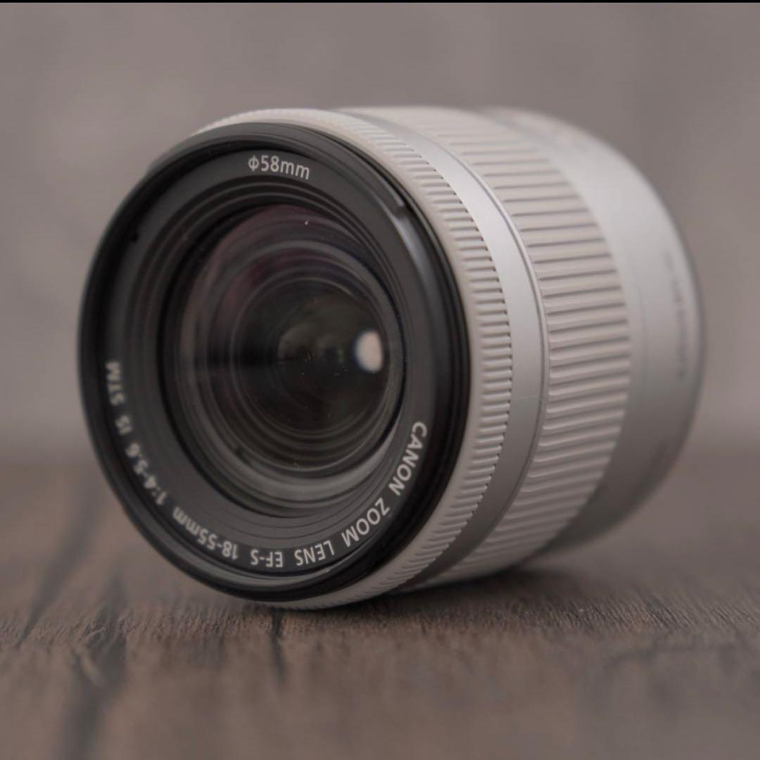 ✨超美品✨レアなシルバー✨Wi-Fi転送✨Canon Kiss X10　167