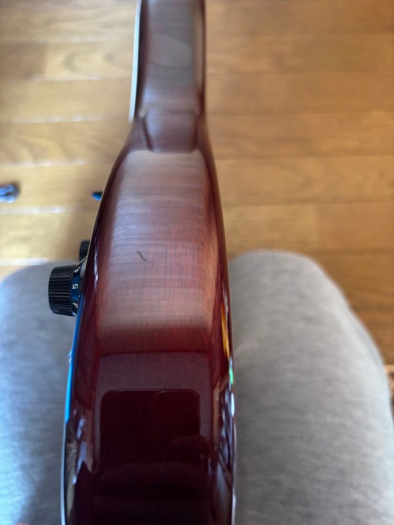 G&L Tribute Series S-500 ソフトケース付き