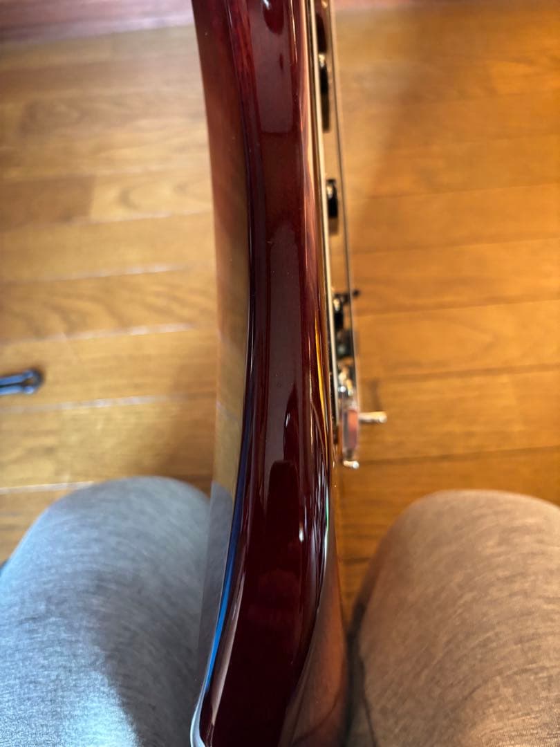 G&L Tribute Series S-500 ソフトケース付き