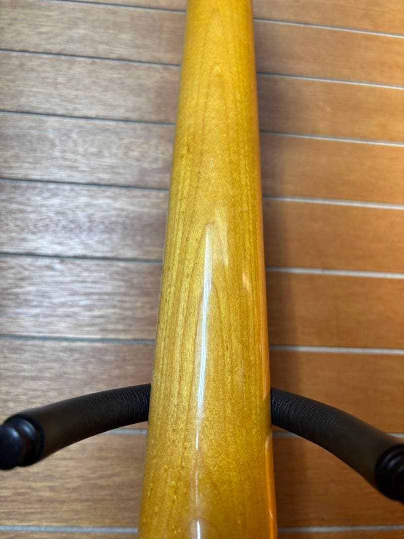 G&L Tribute Series S-500 ソフトケース付き