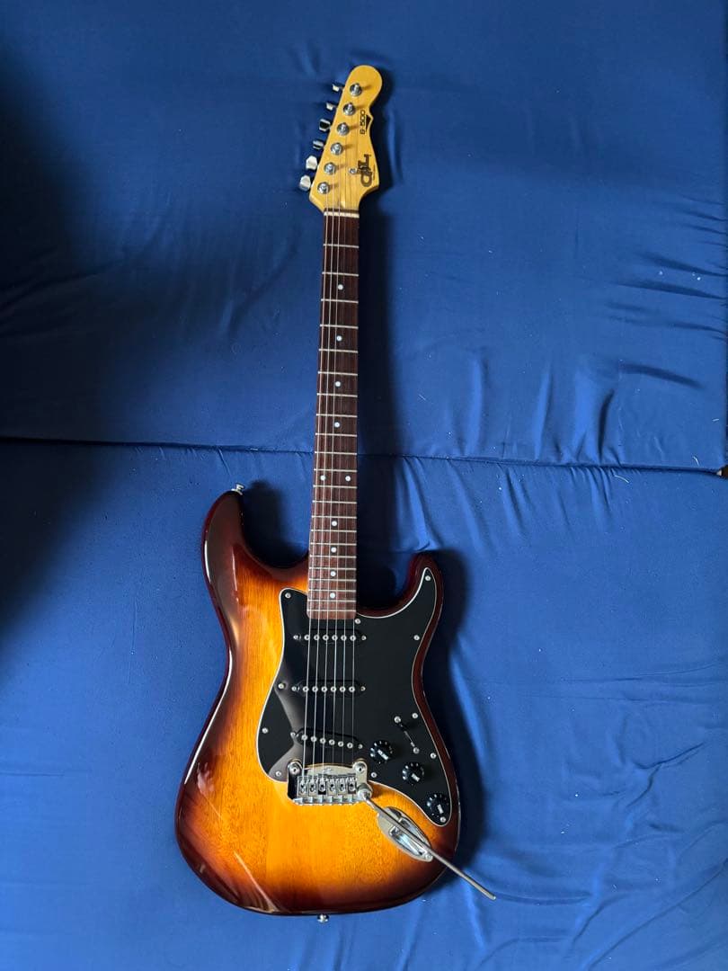 G&L Tribute Series S-500 ソフトケース付き