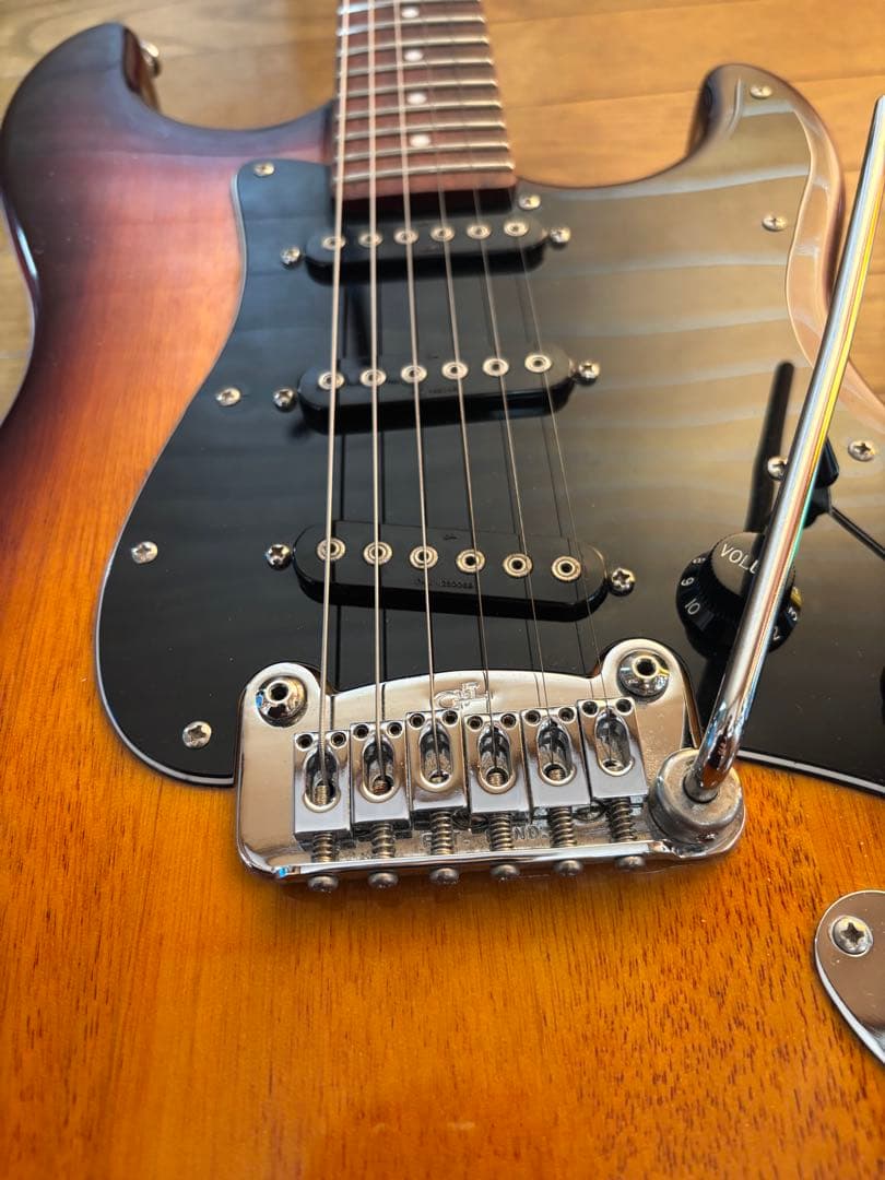 G&L Tribute Series S-500 ソフトケース付き