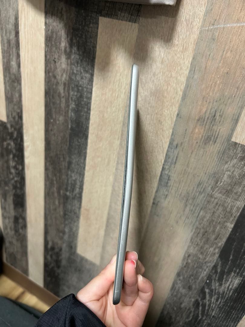 iPad本体 Apple iPad mini 5