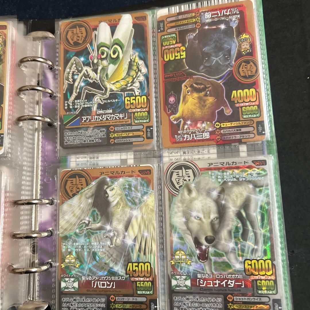 ラタトスク様確認用